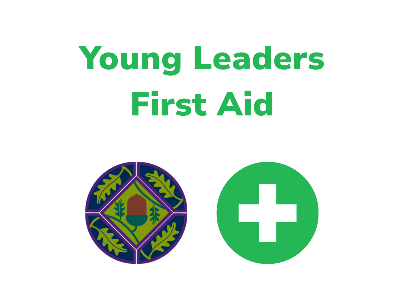 Young Leaders First Aid